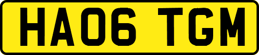 HA06TGM