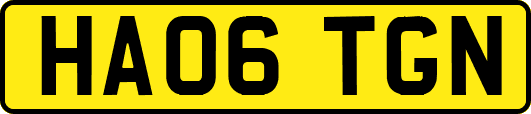 HA06TGN