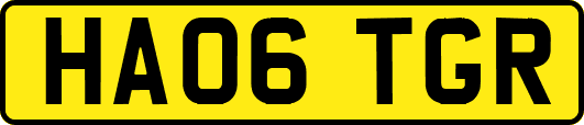 HA06TGR