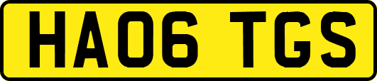 HA06TGS