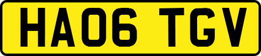 HA06TGV