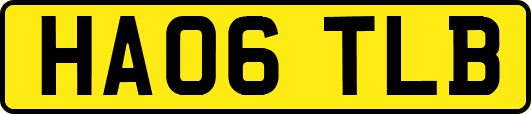 HA06TLB