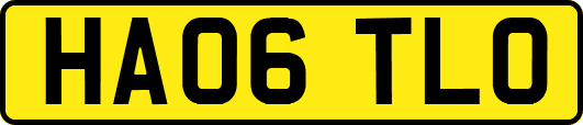HA06TLO