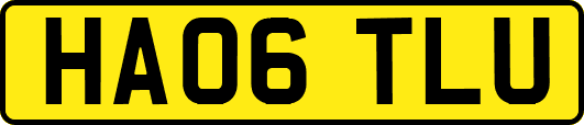 HA06TLU