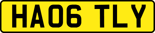 HA06TLY
