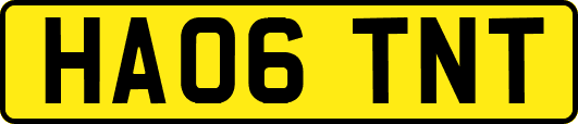 HA06TNT