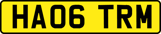 HA06TRM