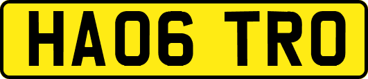HA06TRO