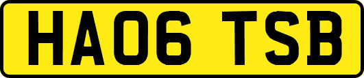 HA06TSB