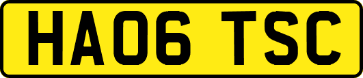 HA06TSC