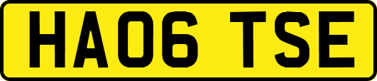 HA06TSE