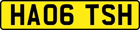 HA06TSH
