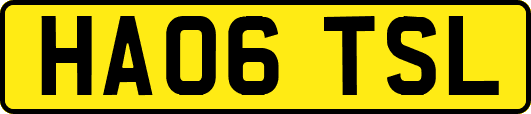 HA06TSL