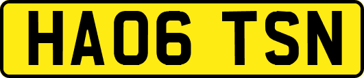HA06TSN