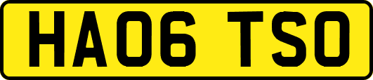 HA06TSO
