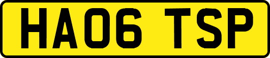 HA06TSP