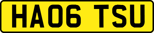 HA06TSU