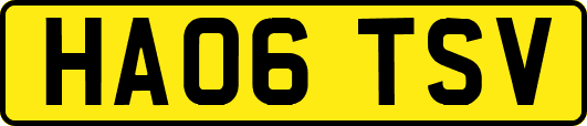 HA06TSV