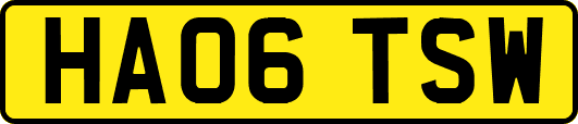 HA06TSW