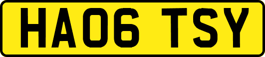 HA06TSY