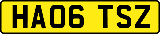 HA06TSZ
