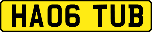 HA06TUB
