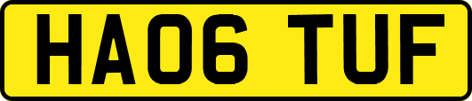 HA06TUF