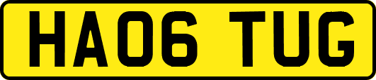 HA06TUG