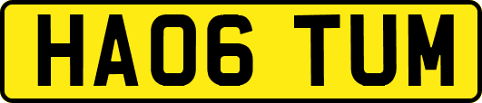 HA06TUM
