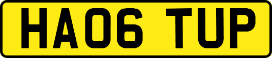 HA06TUP