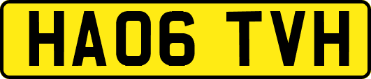 HA06TVH