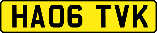 HA06TVK
