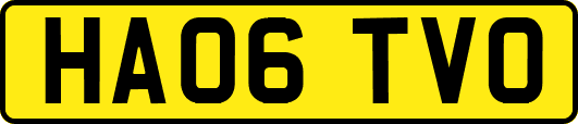 HA06TVO