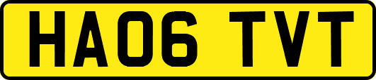 HA06TVT