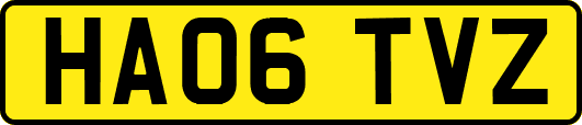 HA06TVZ