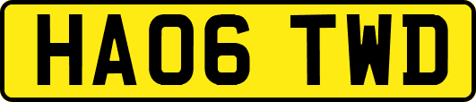 HA06TWD
