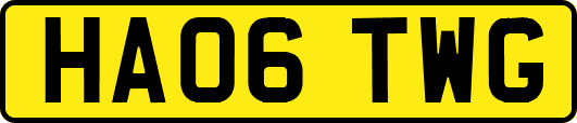 HA06TWG