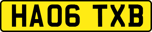 HA06TXB