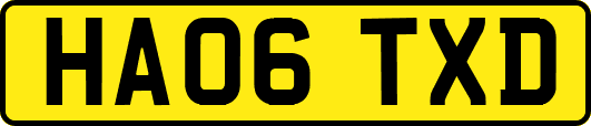HA06TXD