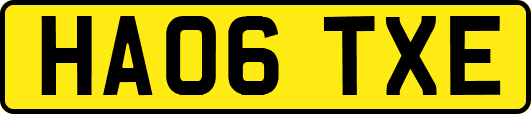 HA06TXE