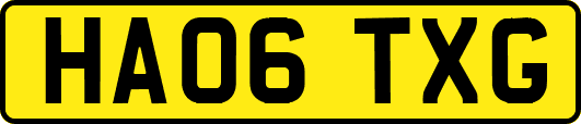 HA06TXG