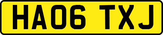 HA06TXJ