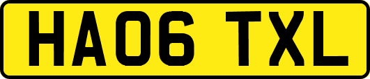 HA06TXL