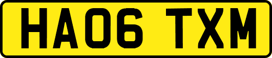 HA06TXM