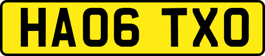 HA06TXO
