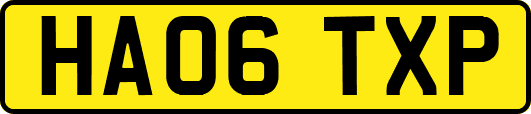 HA06TXP