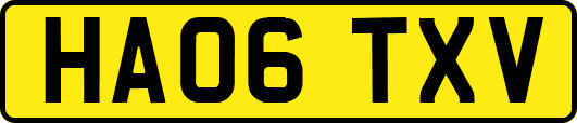 HA06TXV