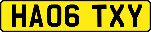 HA06TXY