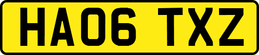 HA06TXZ