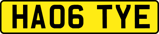 HA06TYE